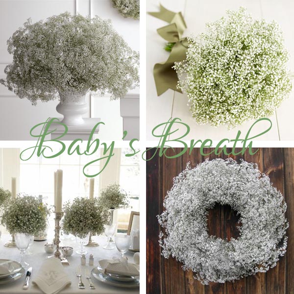 Baby's Breath ideas for wedding decor