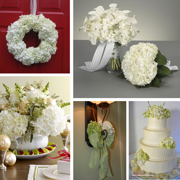 Wedding Decor - Hydrangeas  -  Primadonnabride.co.za