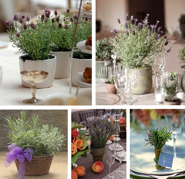 Wedding centrepiece ideas using the lavender herb Simple but effective and