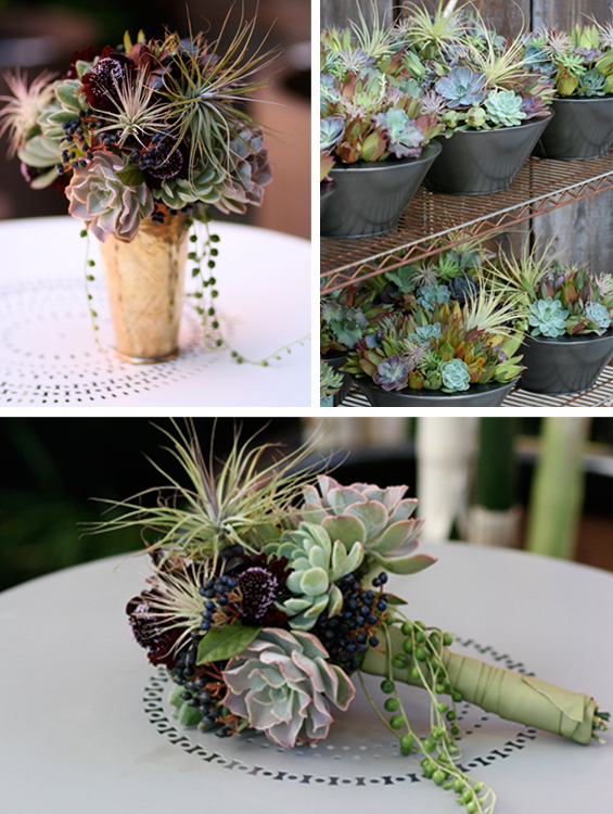 Succulents Wedding Decor Author Carol