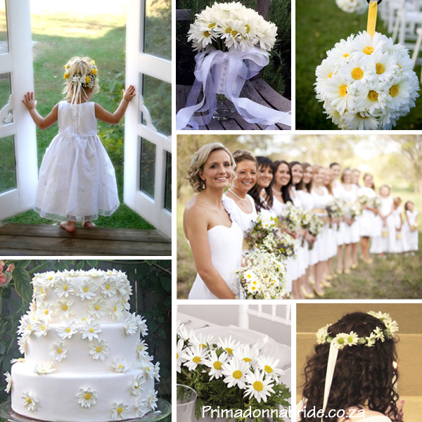 Daisy Wedding Inspiration Author Carol